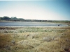 Ground water pond as it looked in the 1960 on homestead.