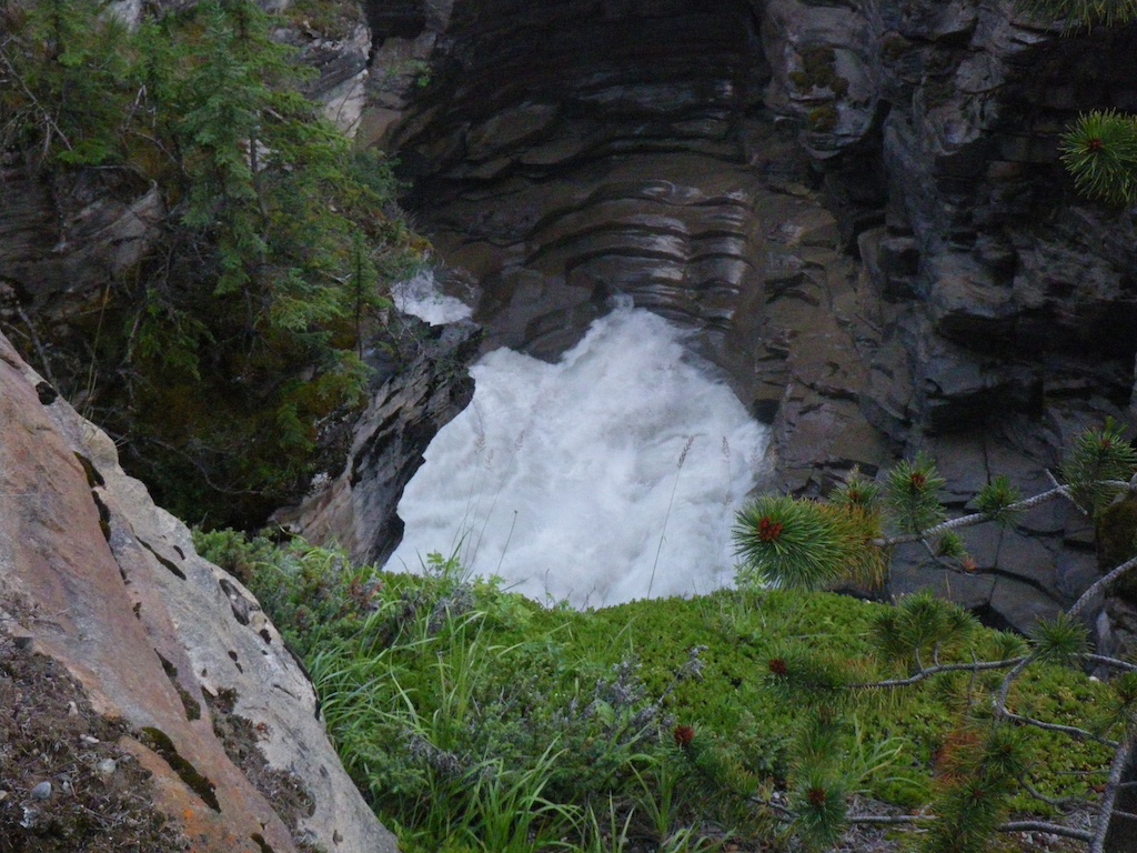 Down streams at Athabasca falls