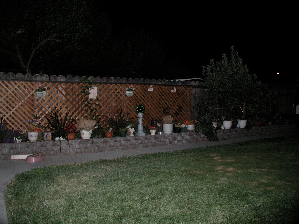 Smiths trädgård på natten