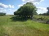 Gate to the homestead.