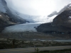 Columbia icefield