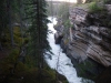 Athabasca falls